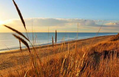 Maison "PIVOINE" proche de la plage - Foto 12