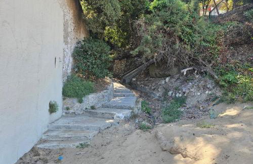 Da mia zia - Foto 25