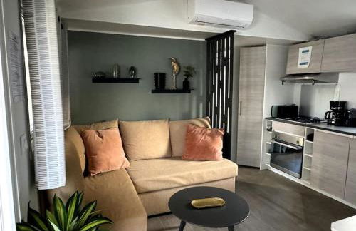 Joli Bungalow 464, 4-6 pers, wifi, terrasse, Camping Siblu Lac des Rêves Lattes - Foto 1