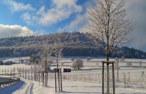 kleine Fewo Peter in Bärenstein - Foto 31