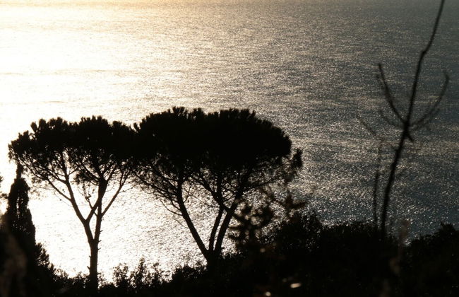 Holiday Home Monte Argentario Sea Views - Foto 33