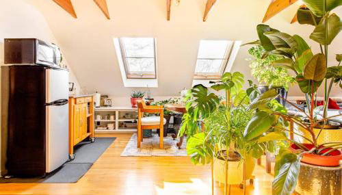 Urban Oasis in Hope Village - Foto 5