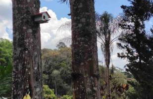 Chacara com Piscina Aquecida - Foto 48