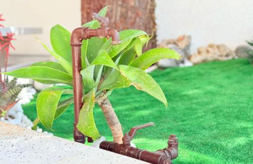 Apulia Comfort apartment - Foto 12