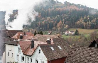 HAUS IRENE gemütlich moderner Schwarzwald - Photo 30