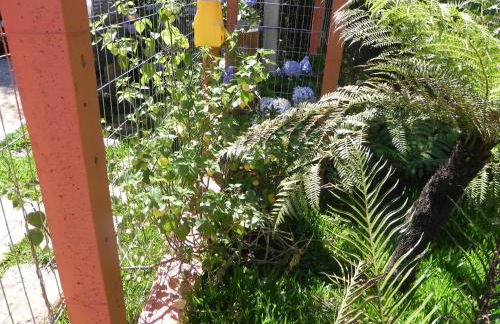 V do Lago Negro - Photo 4