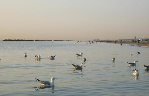 Stella di mare - Foto 31