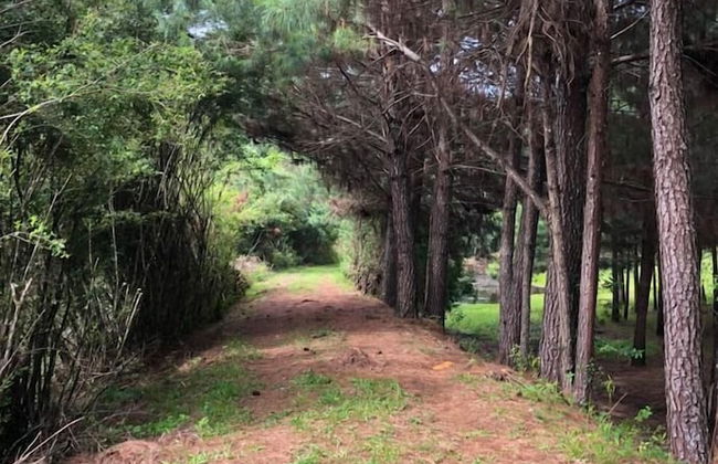 Harry World Parque Hotel - Photo 18