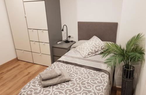 Pis clar i espaiós - Foto 9