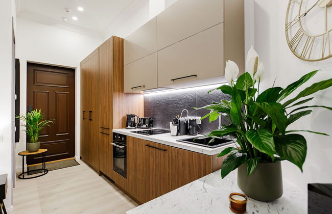 RIGAAPARTMENT ELIZABETES 22 Aparthotel - Photo 70