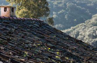 Casa de los Olivos, chimenea con horno 2 Hab 4 Pers Max - Foto 35