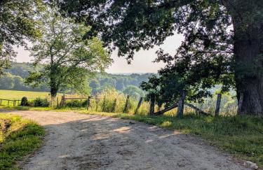 La Vieille Maison aux Canards - Foto 47