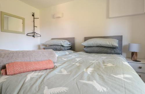 Black Cat Bach - Foto 19