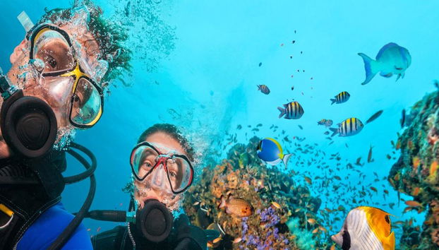 Mergulho com Snorkel em Bodrum - Tour de Dia Inteiro - Foto 3