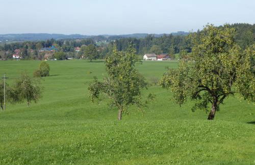 Landhof Zitzler - Foto 13