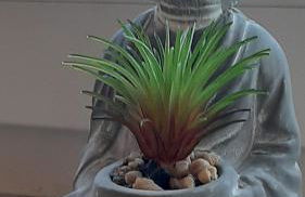 Ferienwohnung bei Schoones - Foto 14