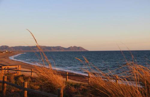 El Toyo Cactus - Foto 27