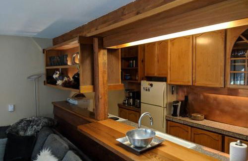 Spectacular Mountain Condo - Foto 59