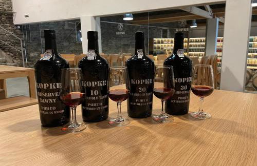 Quinta São Luiz The Vine House Douro - Foto 74