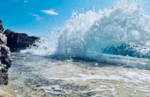 The House 1838 - Foto 4