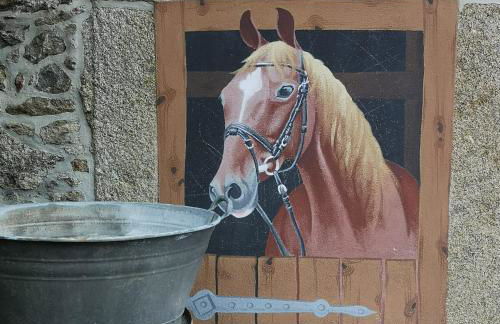 Ferienhof Plotzen - Foto 20