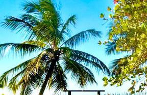 Eco Vila frente al mar - Foto 1