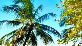 Eco Vila frente al mar - Foto 1