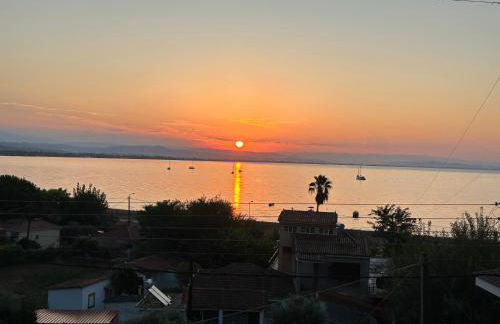 Among the pines - Foto 8