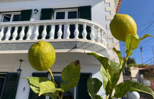 Melody House of Ponta do Sol - Photo 6