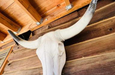 Cozy, Modern Cabin Retreat 8 min to Windham mtn - Foto 10