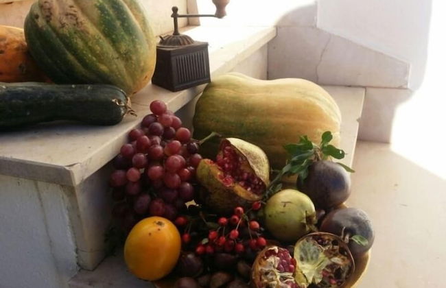 Agriturismo Regno di Marzagaglia - Foto 26