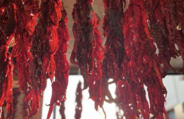 Agriturismo Il Riccio - Foto 39