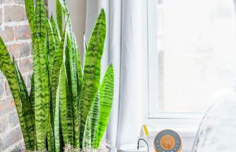 Bamboo Bungalow by Jungle House Near Convention Center OSU & Nationwide Arena Walk to High Street Downtown & Short North 5 800 Reviews Private Parking - Foto 74