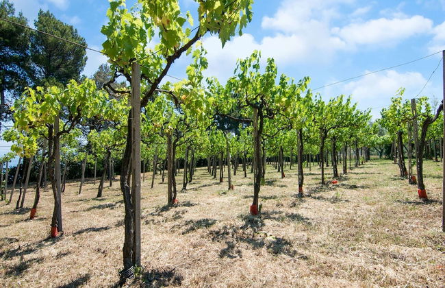 Enchanting Coastal With Views - Foto 39