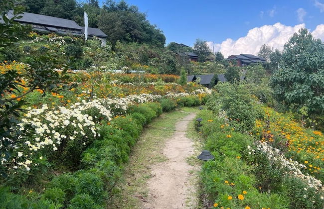 Prakriti Resort and Organic Farm - Foto 50