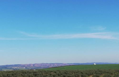 Burrico D`Orada - Rural Stays & Wine Country Tours - Foto 58