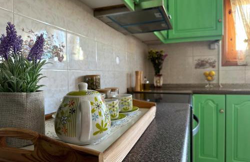 Eleocharis near Amfilochia & Amvrakikos Gulf - Foto 13