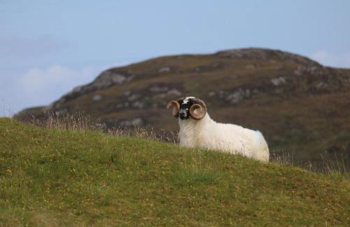 Grey Goose Cottage - Foto 25