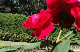 Teresopolis Duplex Green Valley - Photo 55