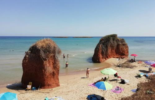 Virginia Country house - Foto 38