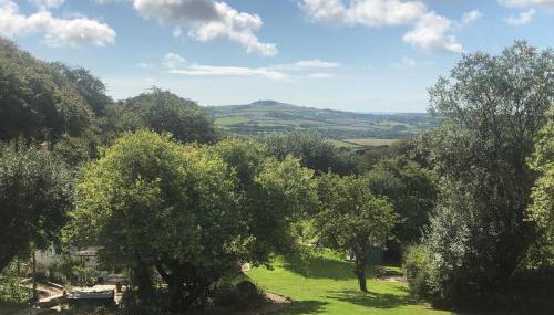 Cosy Shepherds Hut, heating, Hot Tub, WiFi and magnificent view - Foto 5