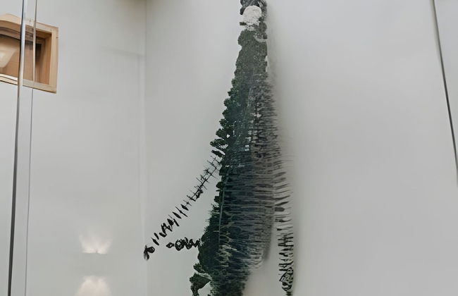 Casa Los Curazaos - Photo 56