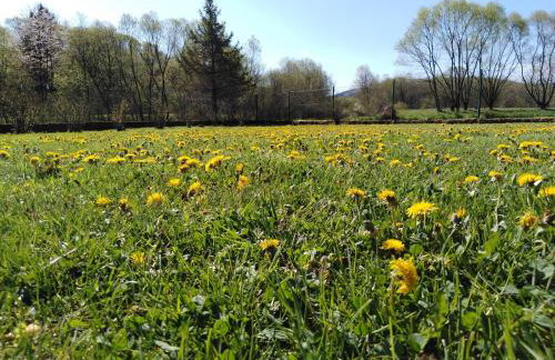 Waszczyszynówka Bieszczady - Foto 9
