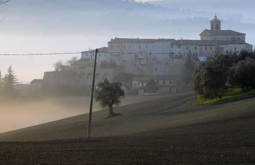 Il Capuccio - Foto 61