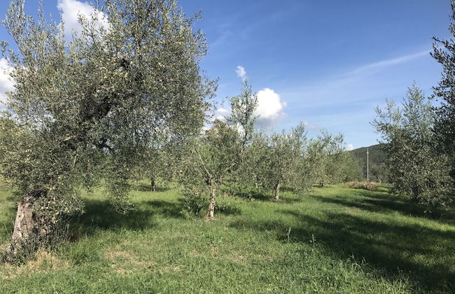 Belvilla by OYO Borgo Sanvico Forrest - Foto 12