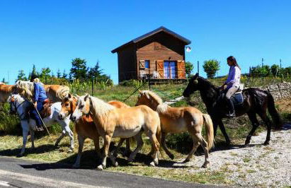 Chalet en bois tout confort - Foto 12