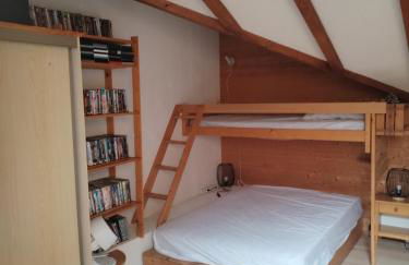 Appartement 8 couchages 45 m2 tout confort à la foux d'allos - Foto 12