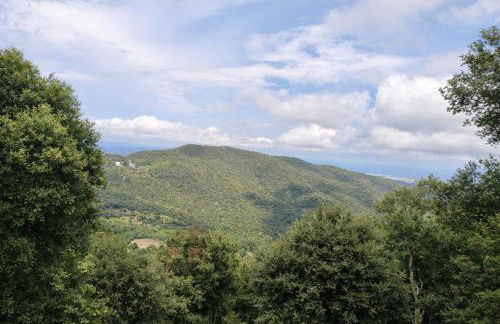 Catalunya Casas Ultimate tranquility in rural Costa Brava! - Photo 15