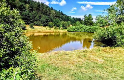 Brzozowa Polana - Foto 58