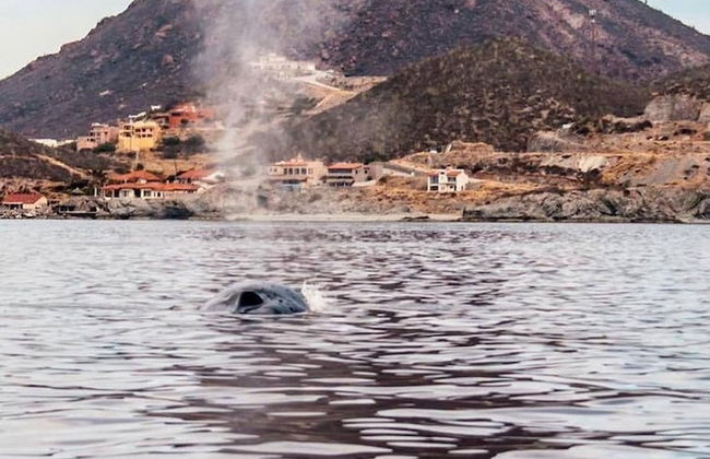 Big House Pool Grill, 4 Bedrooms 12 ppl AC Ocean View TV Wifi - Foto 45